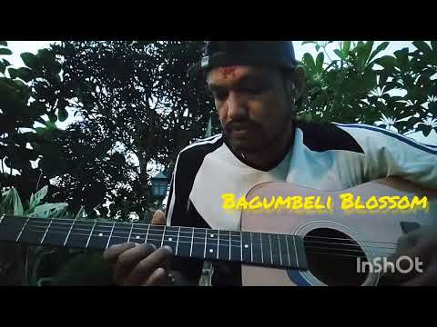 Bagumbeli Blossom Cover #bagumbeliblossom #1974 #guitarshorts #ytshorts #guitarcover 