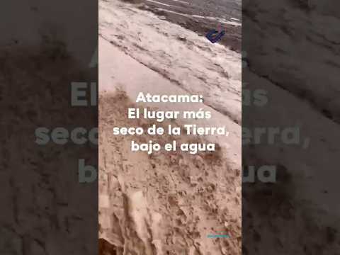 ¡El desierto de Atacama en Chile se inunda!