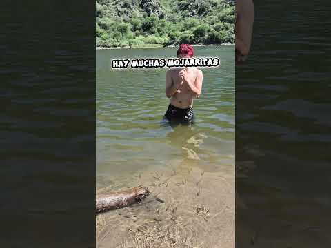 Playitas Dique Lujan..