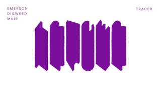 Emerson Digweed & Muir -Tracer (Ruede Hagelstein Remix)