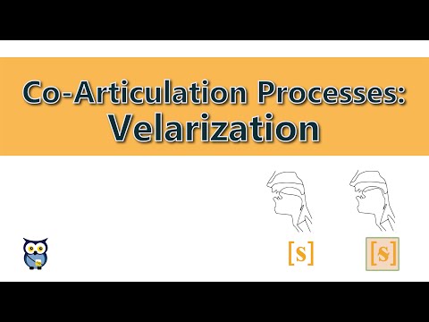 Co-Articulation Processes: Velarization