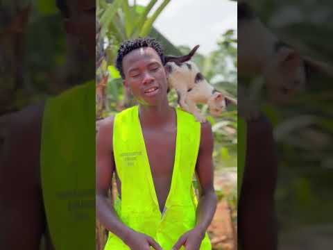 please don't sorcll my engagement is really low a simple hi will help our stray cats get food#fyppp