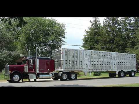 Truck Drivin Man - Lynyrd Skynyrd