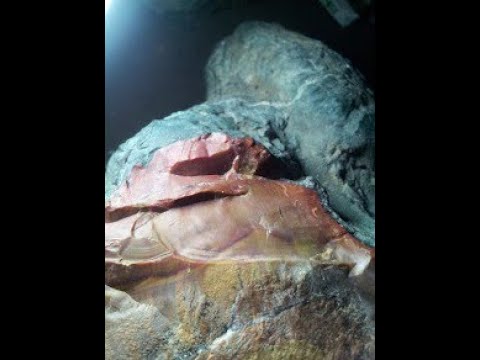 kimberlite  and a range of gemstones