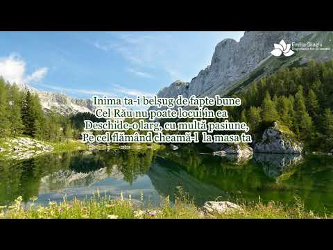 Cornel Sava  Viața ta