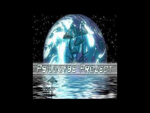Psilocybe Project - Out Of Control