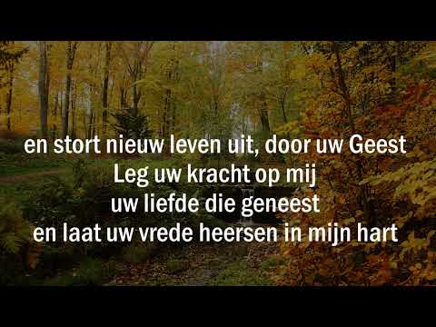 Opwekking met tekst 501 Laat Uw vrede heersen in mijn hart