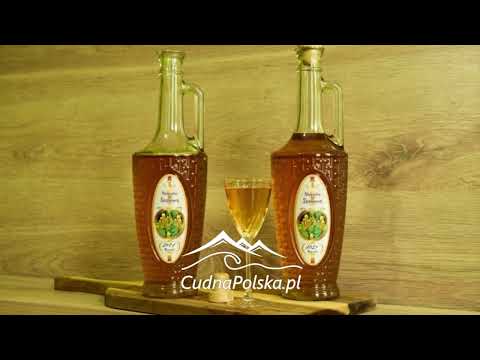 Nalewka z młodych pędów sosny