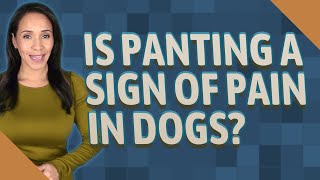 Is panting a sign of pain in dogs?