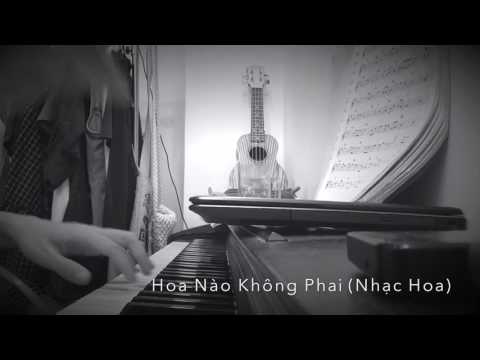 Hoa Nào Không Phai (nhạc Hoa)