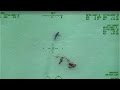 Paddle Boarders Warned They Re Swimming With 15 Great White Sharks