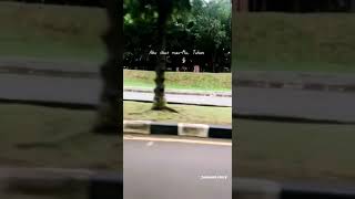 Download lagu Story Wa - Catatanku mp3