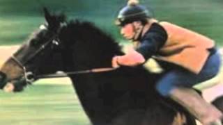 Stephen Stills-What&#39;s The Game