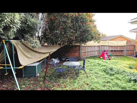 She said CLEANUP and REMOVE Everything...and we did!