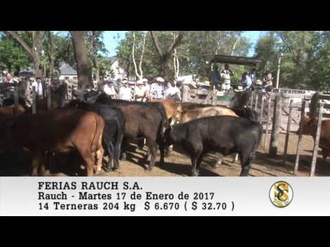 17-01-17 Venta de Hembras y Vientres - Ferias Rauch S.A. - Rauch.