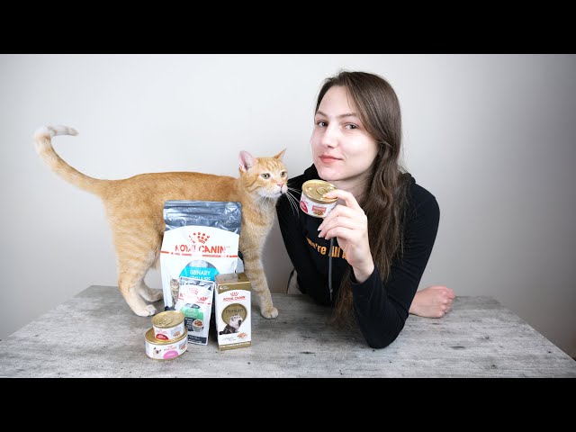 Video Aussprache von Royal Canin in Englisch