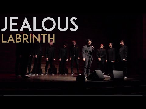 Jealous by Labrinth - Melodores A Cappella LIVE