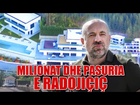 Firma, hotel, vilë dhe miliona euro/ Kjo është pasuria e Milan Radoiçiçit në Serbi