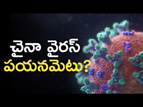 China Virus Explained in Telugu