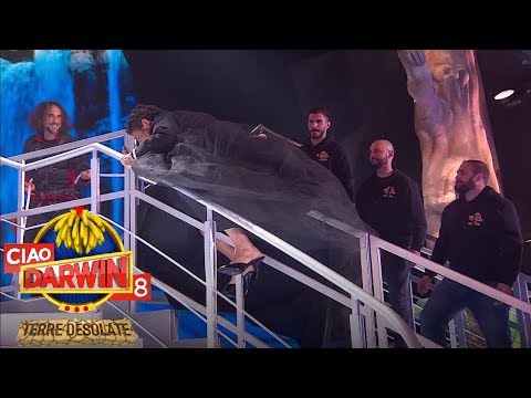 Ciao Darwin 8 - Una rovinosa discesa per il maestro Laurenti