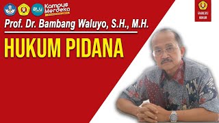Prof. Dr. Bambang Waluyo, S.H., M.H. - HUKUM PIDANA
