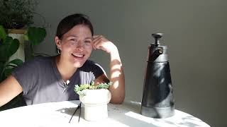 Repot & chat houseplant care and chores!