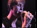 Julian Cope - Sunspots
