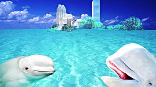 The Empty City - Jane Siberry