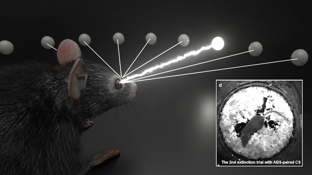 Treating PTSD using eye movement therapy