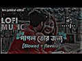 Pagol Tor Jonno _ পাগল তোর জন্য _ (Slowed Reverb) Bangla Song _ Lofi Song