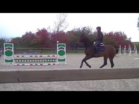 François et Ombre (Monte Bellini)