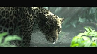 The Legend of Tarzan - Rivela la tua natura - Featurette dal film | HD