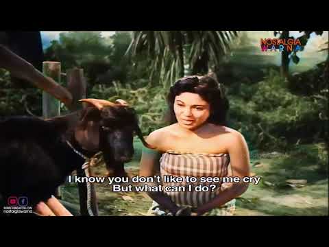 BAWANG MERAH BAWANG PUTIH CLASSIC BERWARNA { Subscribe Percuma} #pramlee #bawangmerahbawangputih