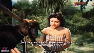 Download lagu BAWANG MERAH BAWANG PUTIH CLASSIC BERWARNA { Subscribe Percuma} #pramlee #bawangmerahbawangputih mp3