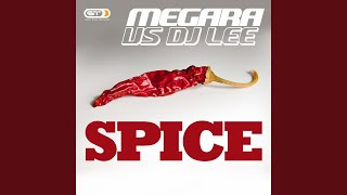Spice (Single Edit)