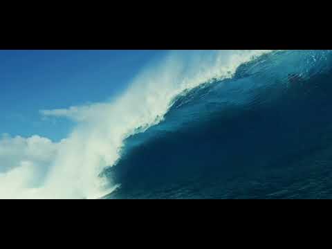 8Dio Score This: The Captain – EliteMusic – Dream Flight