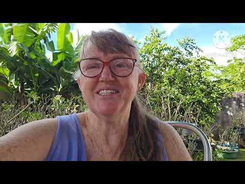 Quintal da casa fixa, adiamos nossa viagem. Sinop Mato Grosso 