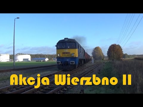 2020.11.03/05 Akcja Wierzbno II