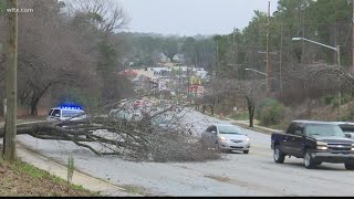 January weather recap