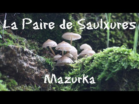 Mazurka La paire de Saulxures de Grands-Mères et Soufflets