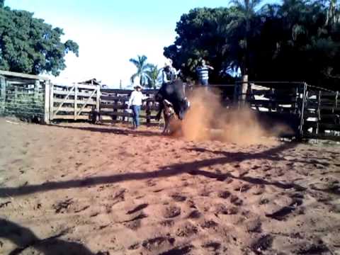 Richer VS Bem Querido da Pedra Lisa