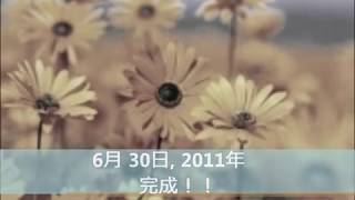 YOSHINORI　オリジナル曲　=森林浴=　　選り抜き１９（リミックスVERSION）★★