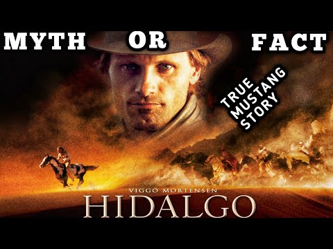 Hidalgo: The Wild Mustang That Outsprinted Arabian War Horses | True Story #mustang #horse #horses