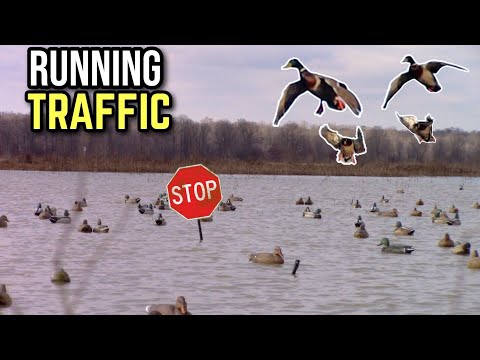 Become a MASTER at Running Traffic!! Put More Ducks In Your Spread