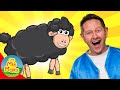 Baa Baa Black Sheep | Kids Songs and Nursery Rhymes | The Mik Maks