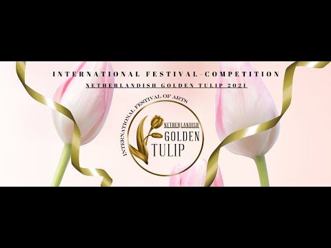 NGT-I-0027 Maja Sokal, Choreography, Contemporary, Middle group, POLAND, Szczecin