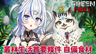 [Vtub] 音彌彌 綠色地獄 亞馬遜冒險！