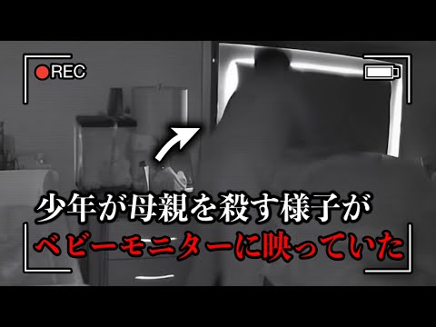 13歳の少年が母親を40回刺して殺害し、その様子を記録した写真を友人に送った...【取り調べ映像】