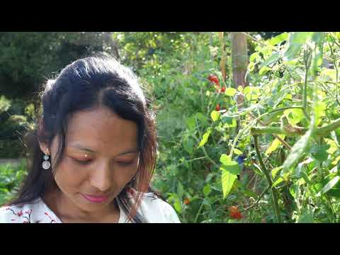 千葉市のグリーンツーリズム～サジナの休日編～