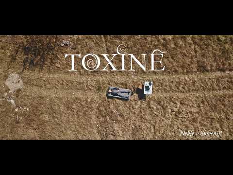 Slovenska pesem - Toxine & Marko Vuksanović (MMS 2024)